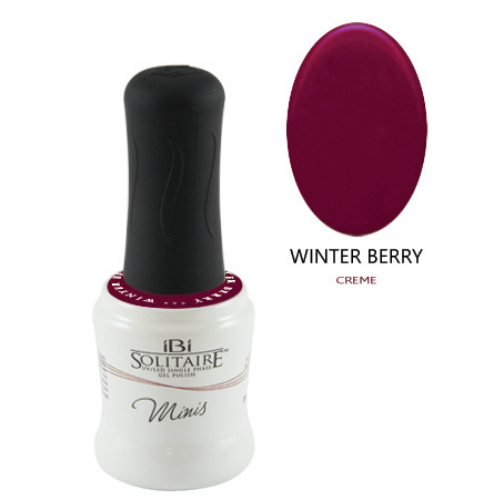 WINTER BERRY